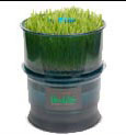 Freshlifesprouter