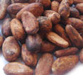 cacao3