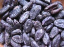 cacao3
