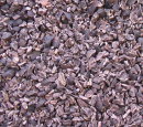 cacaonibs1