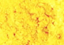 lucuma1