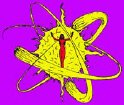 TMOENEWZcweb