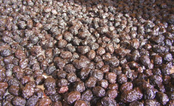 sundried-olives